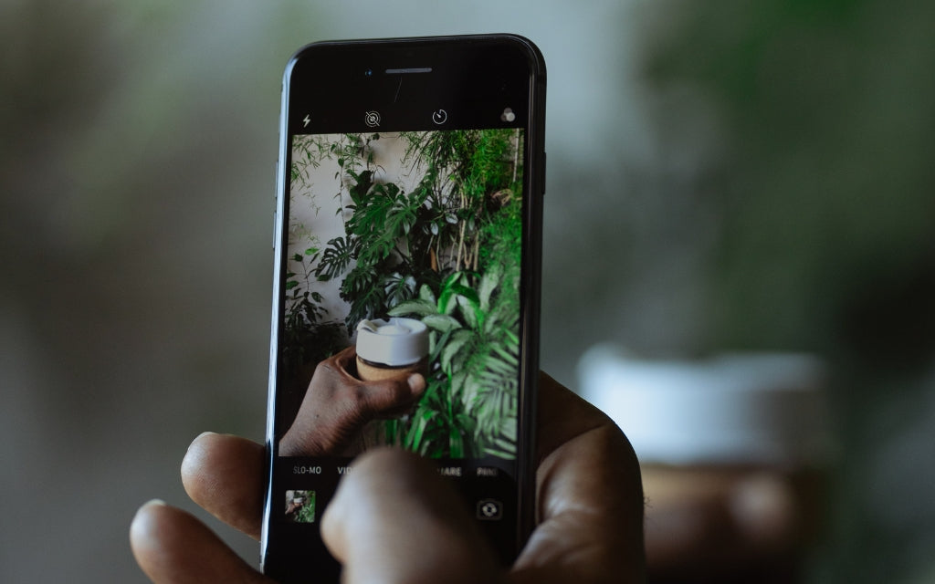 iPhone camera taking picture of plants