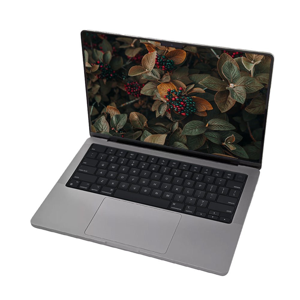 Apple MacBook Pro 14" 2023 M2 Max 64GB RAM 2TB | Laptop | Apple | Frank Mobile