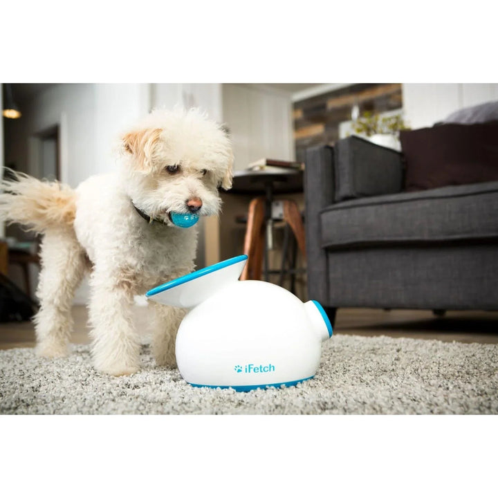 iFetch Original Ball Launcher | Pet ball throwers | iFetch | Frank Mobile