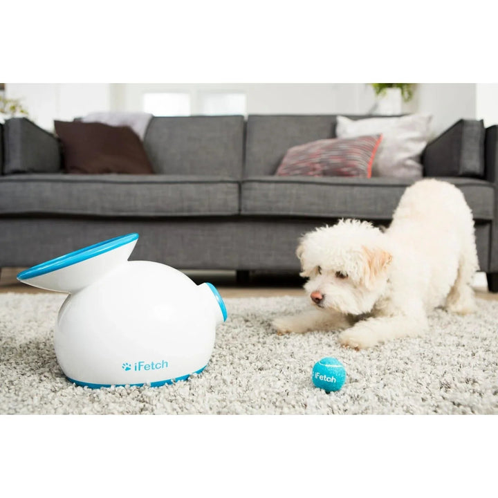 iFetch Original Ball Launcher | Pet ball throwers | iFetch | Frank Mobile