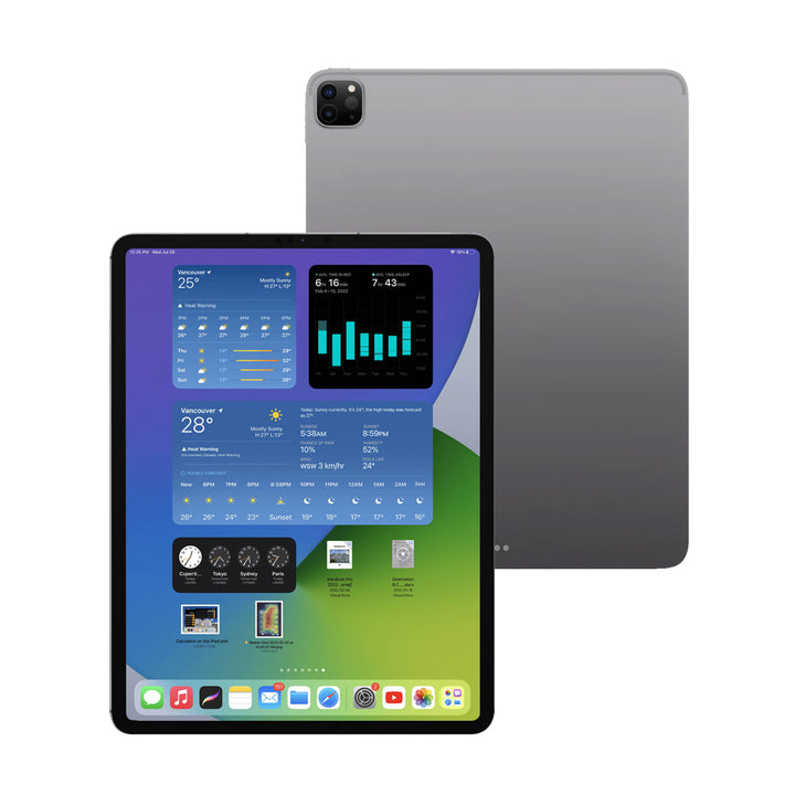 iPad Pro 11 Inch 2nd (Cellular)