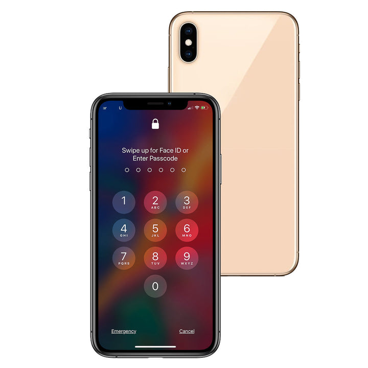 iPhone XS 256GB